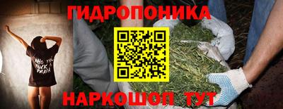 шишки Заводоуковск