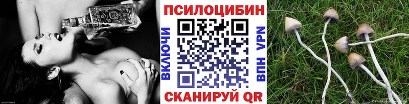 дарнет шоп Новоуральск blacksprut tor Галлюциногенные грибы Magic Shrooms