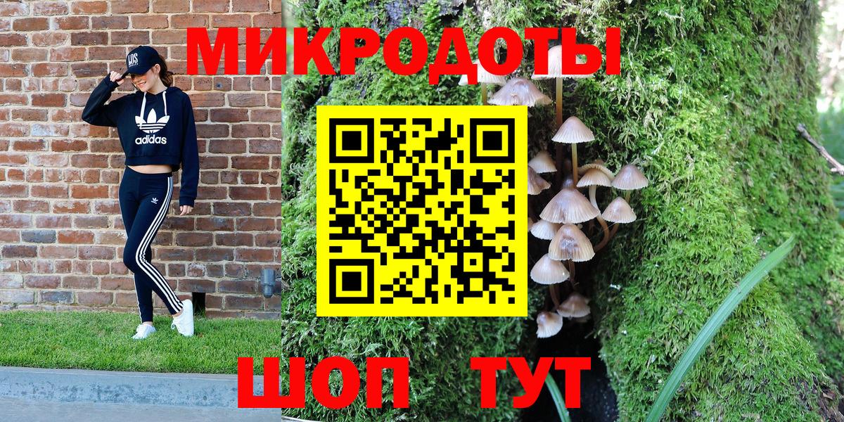 Новоуральск  закладка  Вход с VPN  Псилоцибиновые грибы Psilocybe 