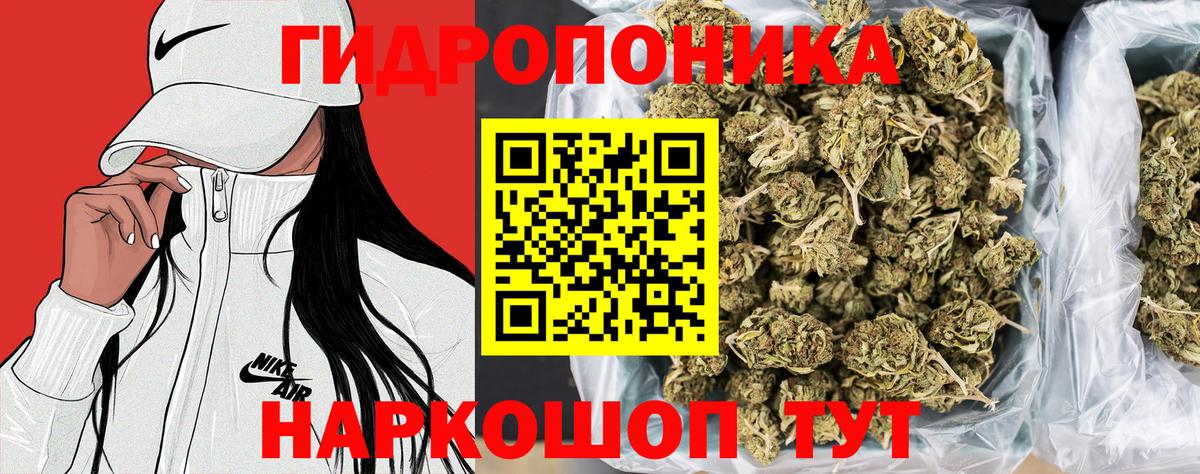 Канабис OG Kush Новоуральск